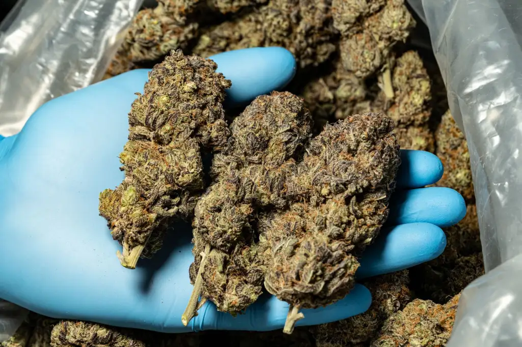 重庆智能手机充电器选购指南：快充协议与兼容性分析