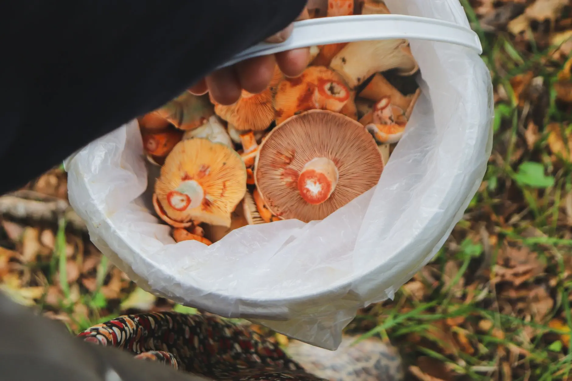 智能手机充电器与无线充电器技术对比：企业采购选型要点解析